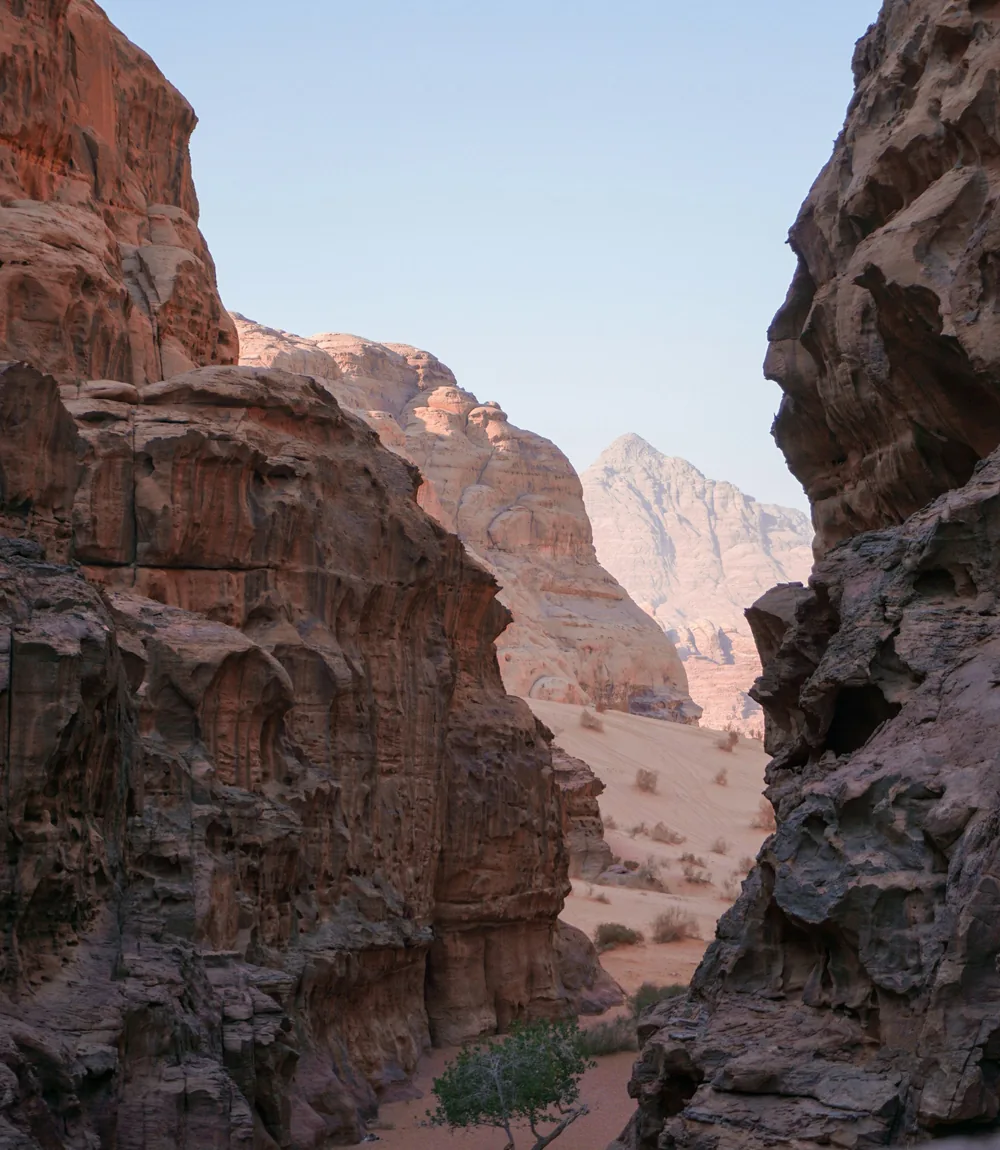 Wąski kanion z piaskowca na pustyni Wadi Rum